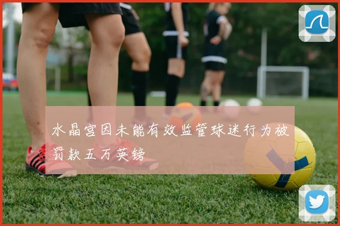 水晶宫因未能有效监管球迷行为被罚款五万英镑